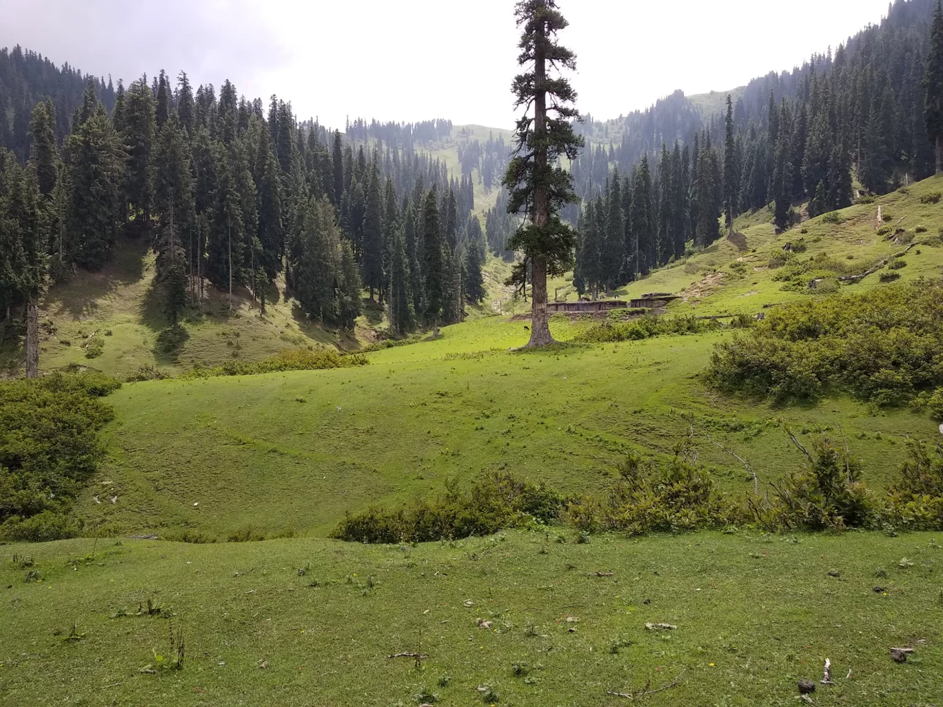Photo of Jammu and Kashmir By Umair Mir