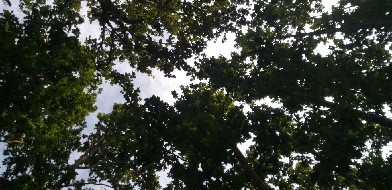 Photo of Shahid Park By Raj Sharma