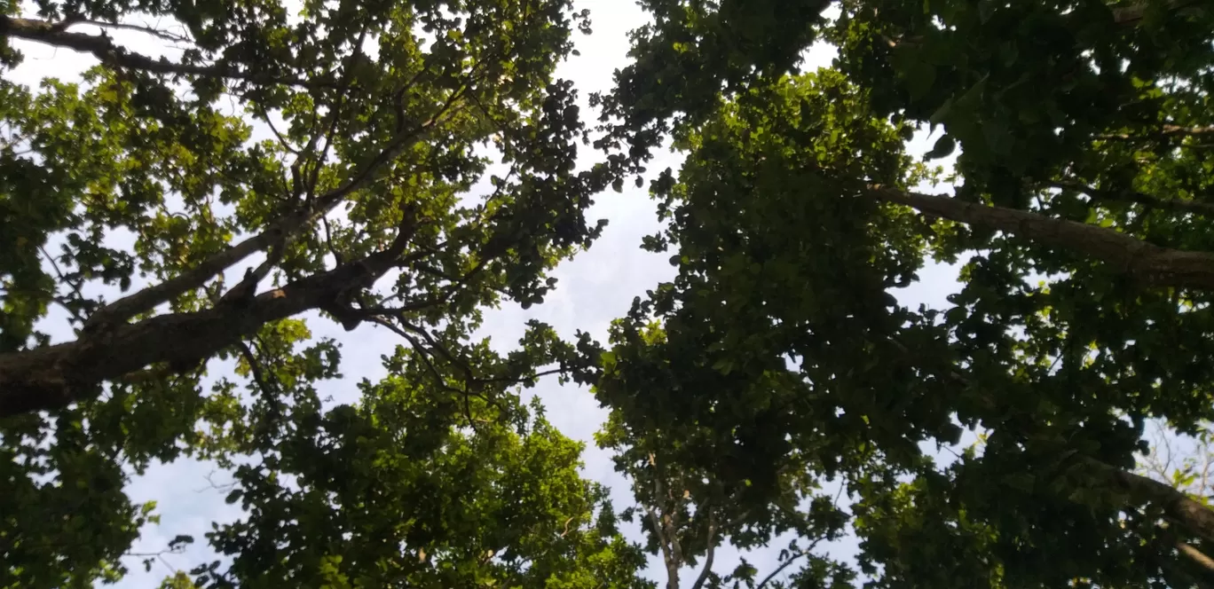 Photo of Shahid Park By Raj Sharma