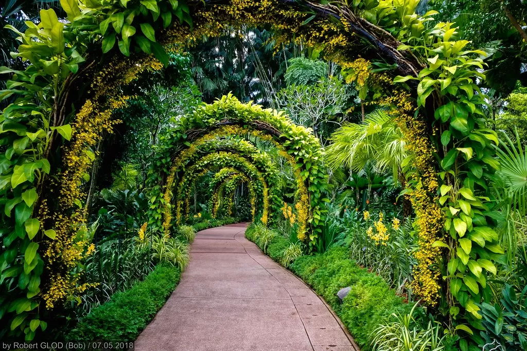 Photo of Singapore By Himani Sahni