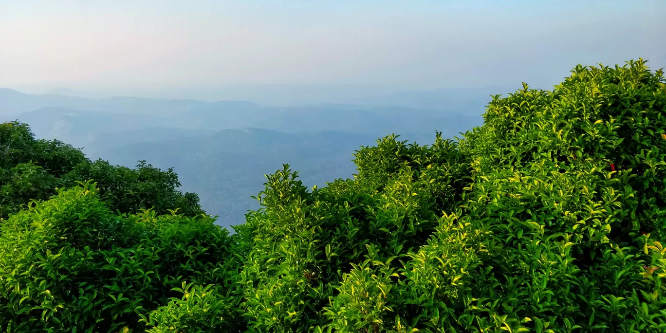 Photo of Kudajadri hill Mookambika By Rahul K Nambiar