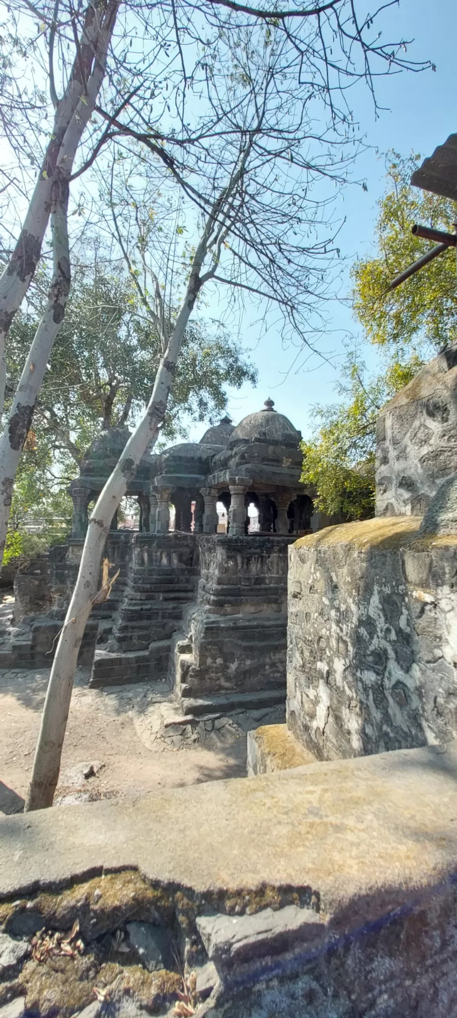 Photo of Methi By indraneel bankapure