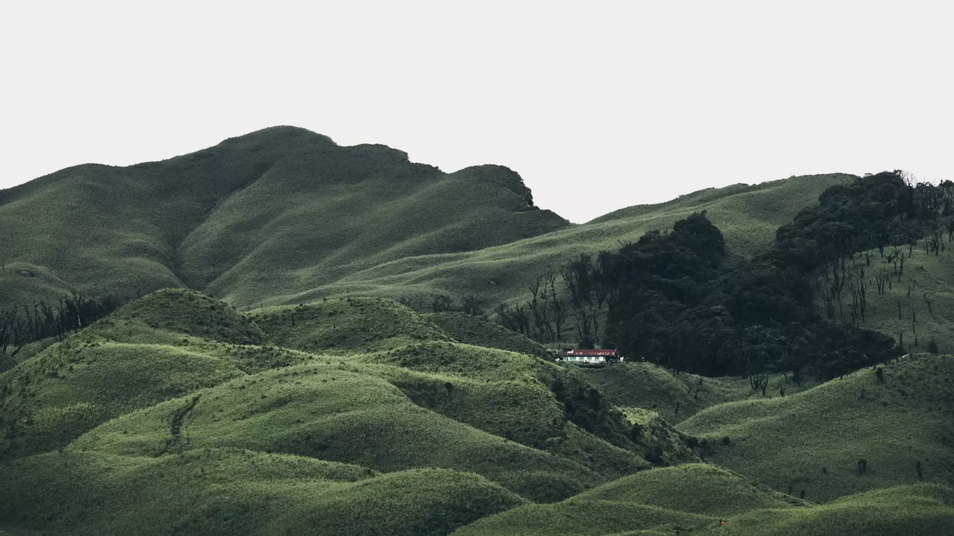 Photo of Dzükou Valley By GoutamRaj Thwdam