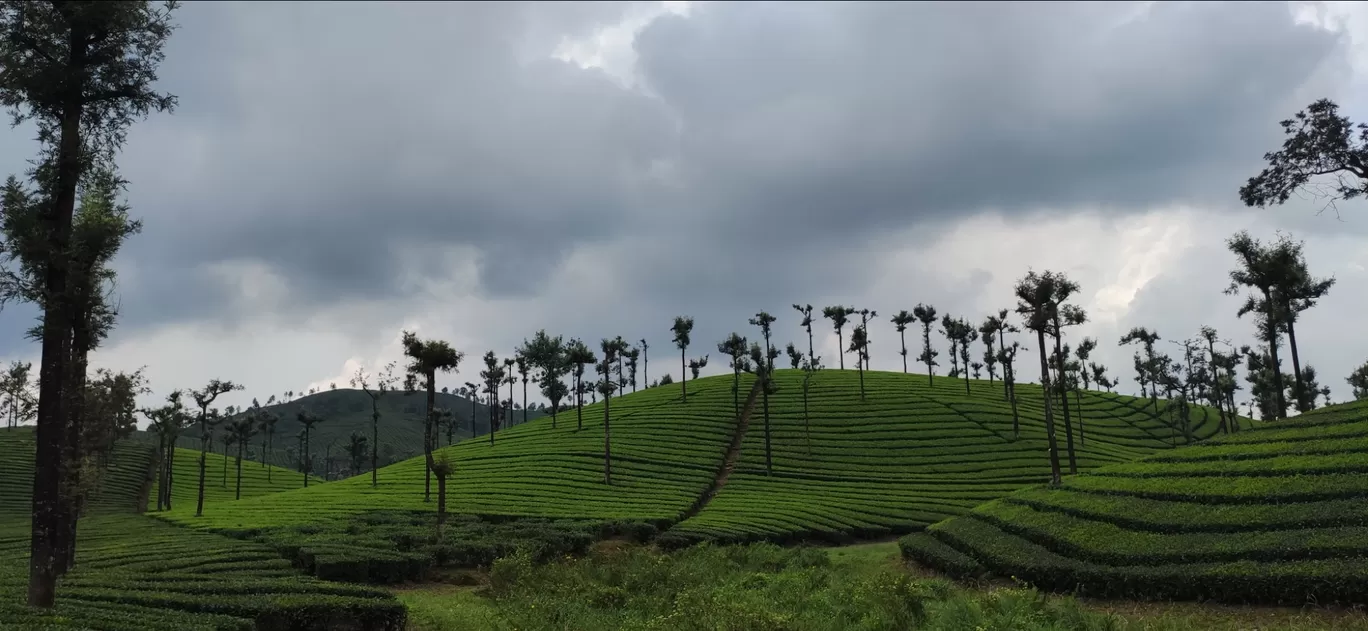 Photo of Valparai By Lohit Aravindan