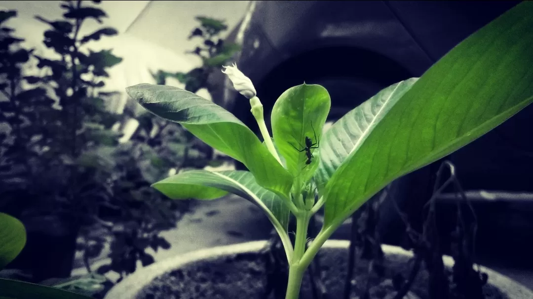 Photo of Valasaravakkam By Arundev Sudevan