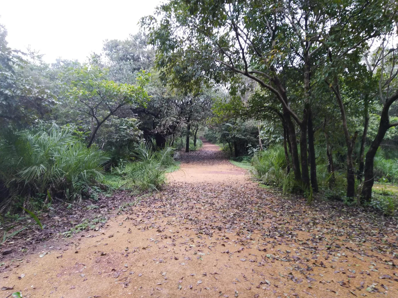 Photo of Panchmarhi Hill Station By Ankit Singh