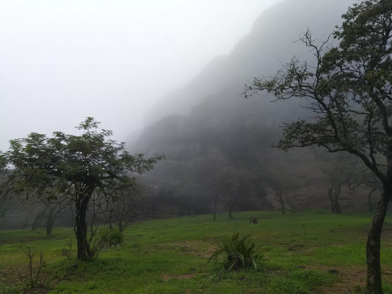 Photo of Panchmarhi Hill Station By Ankit Singh