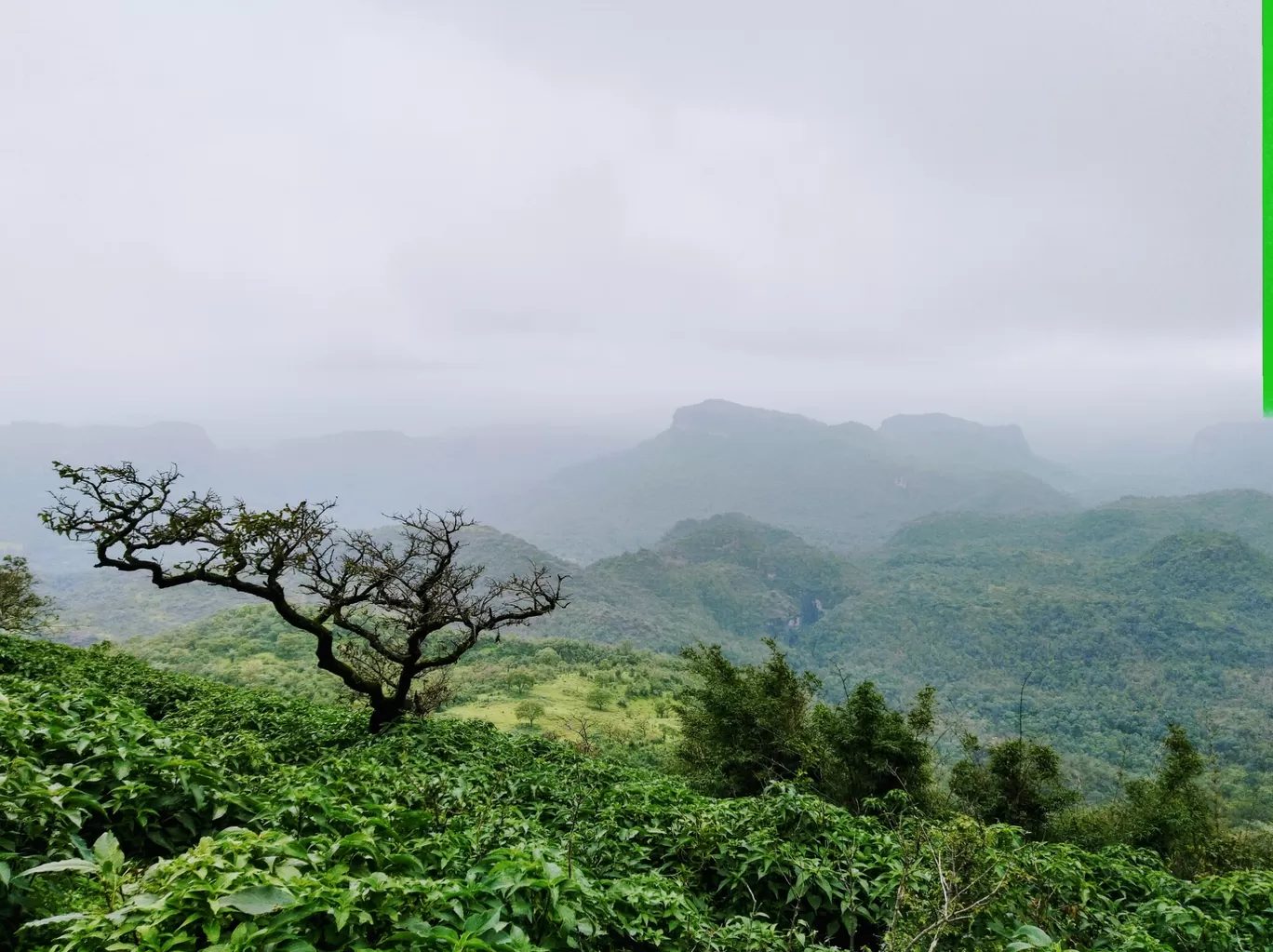 Photo of Panchmarhi Hill Station By Ankit Singh