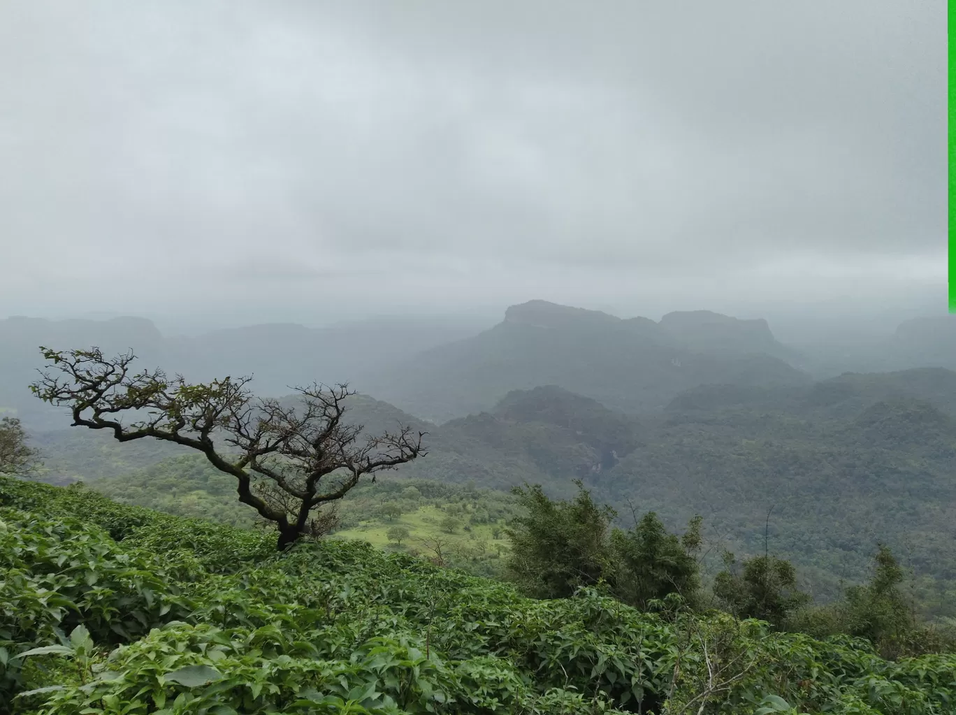 Photo of Panchmarhi Hill Station By Ankit Singh