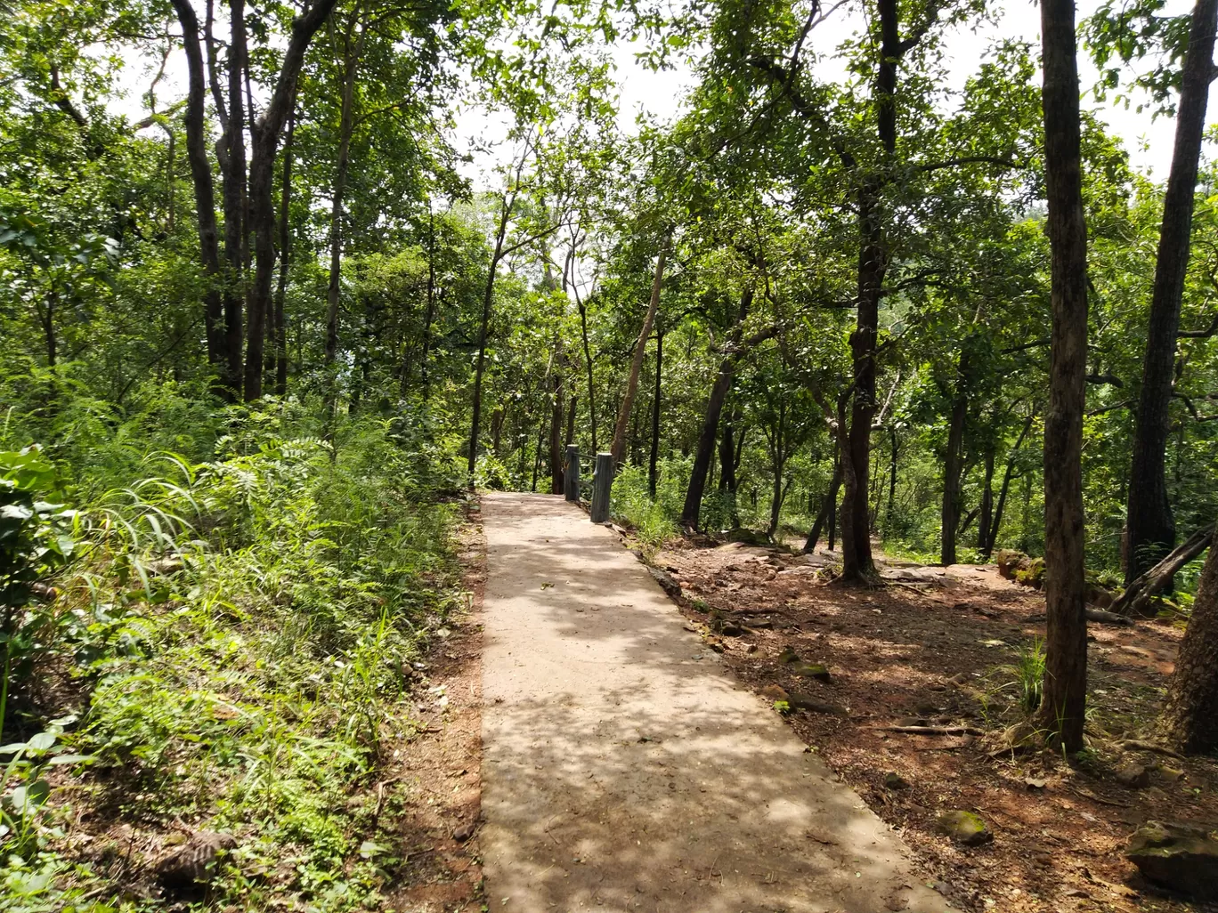 Photo of Panchmarhi Hill Station By Ankit Singh