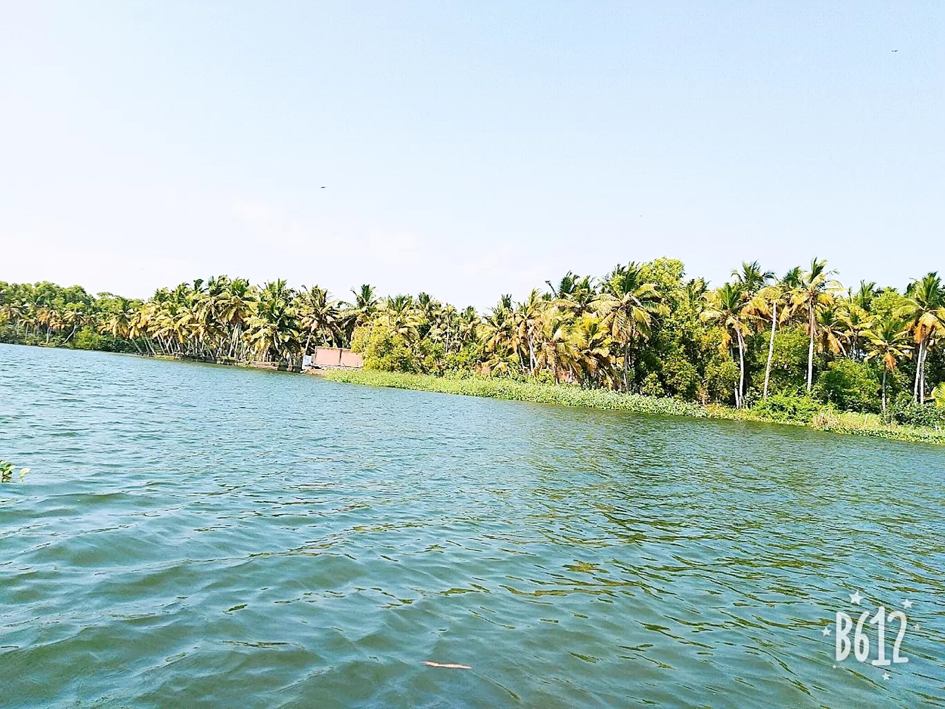 Photo of Poovar By Ankit Singh