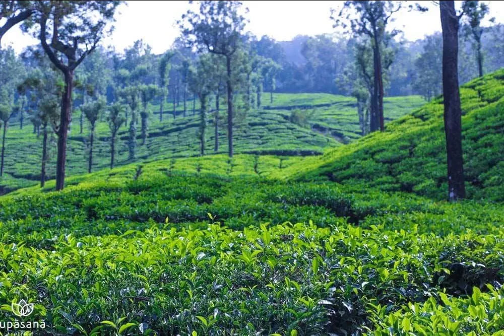 Photo of Kudremukh By Anirban Das