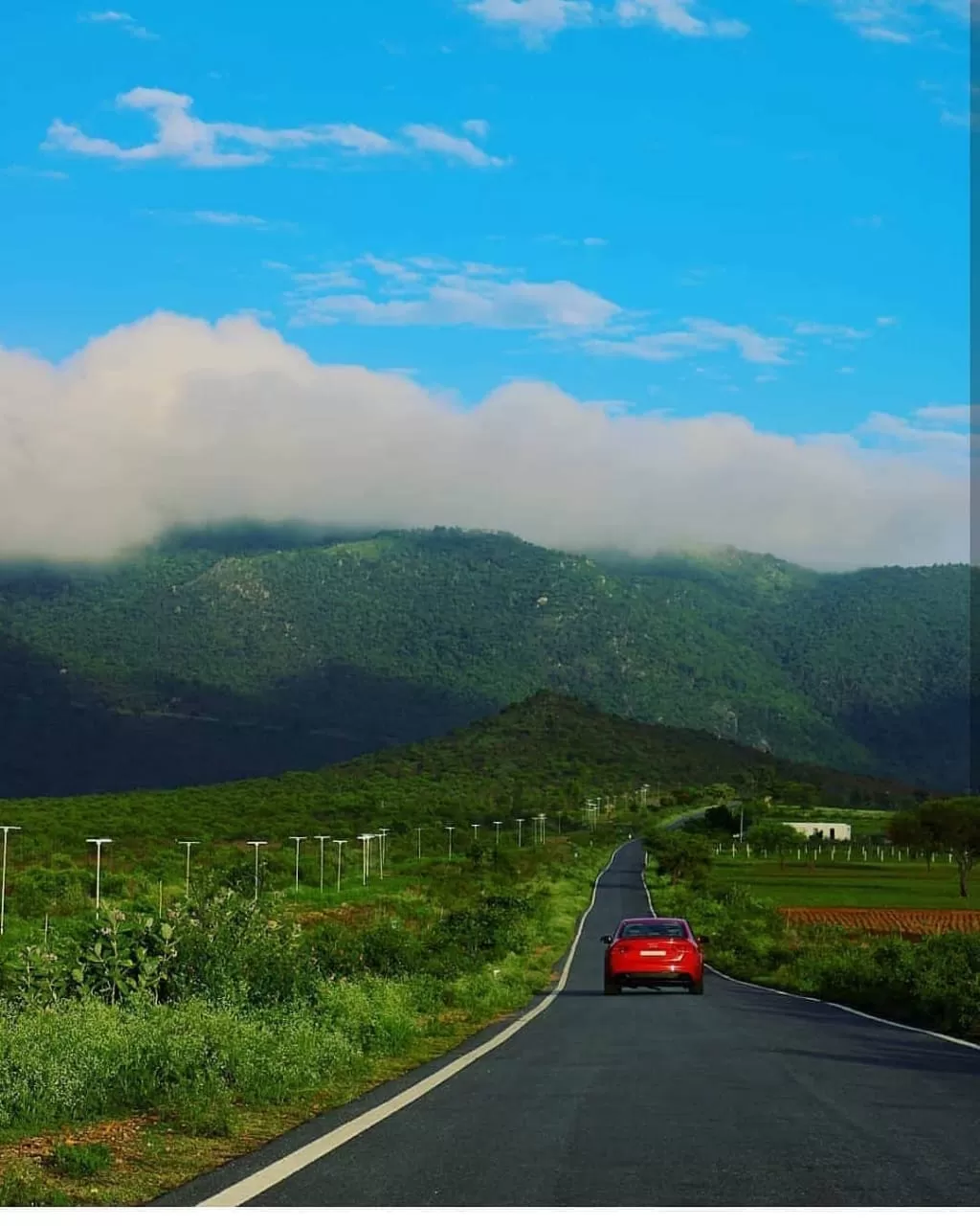 Photo of Gopalaswamy Hills Forest Guest House By Anirban Das