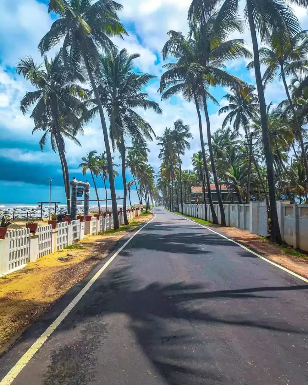 Photo of Delta Beach By Anirban Das