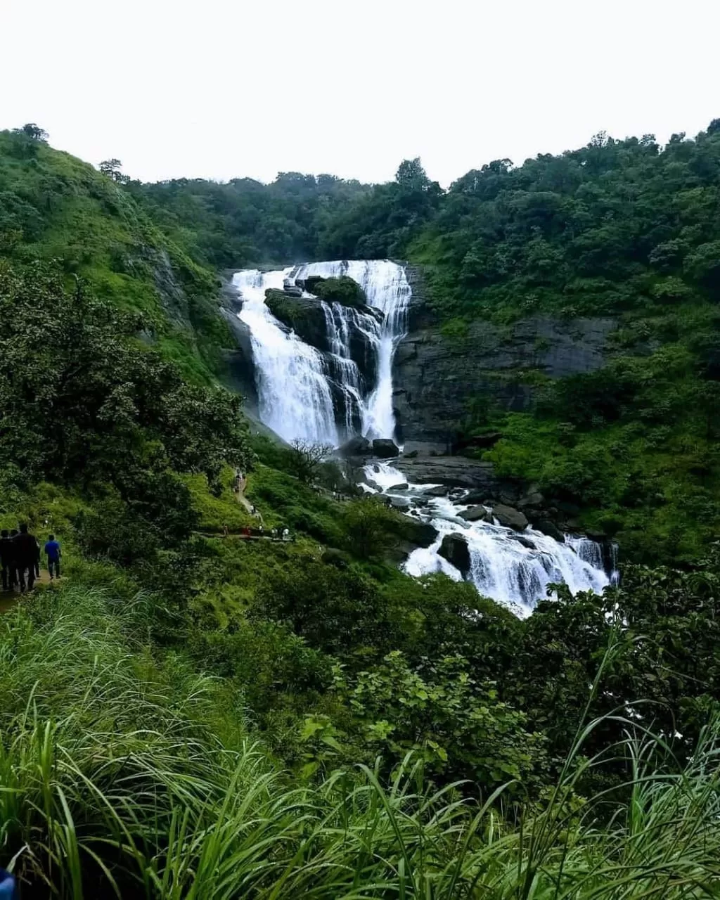 Photo of Mallalli Waterfalls By Anirban Das