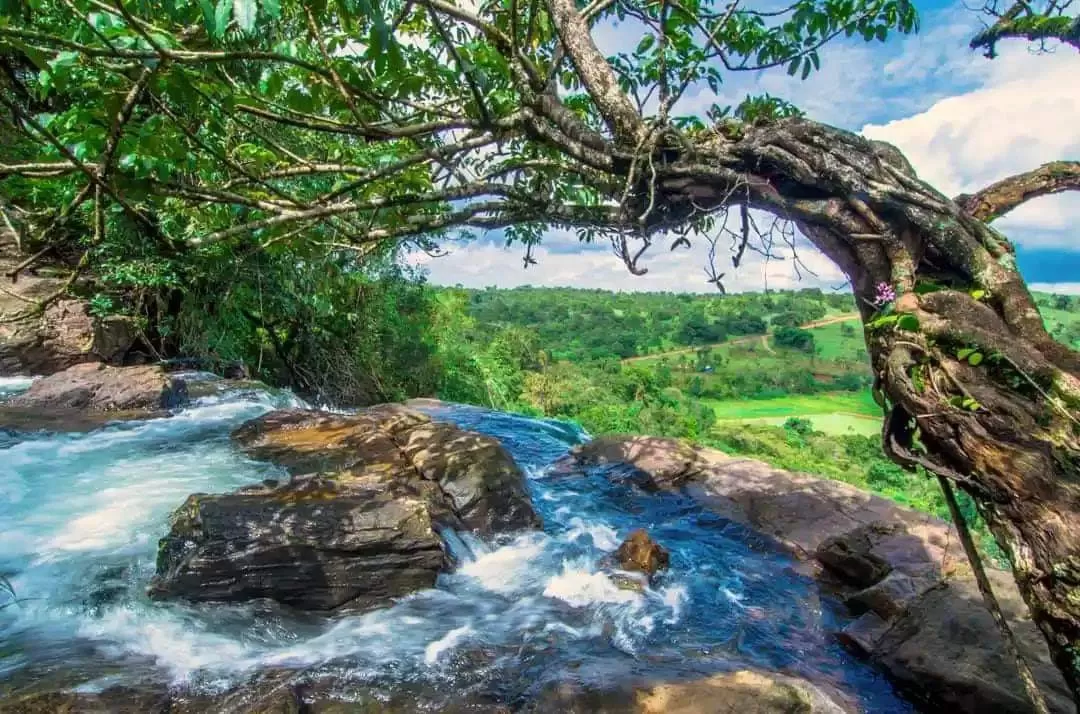 Photo of Mallalli Waterfalls By Anirban Das