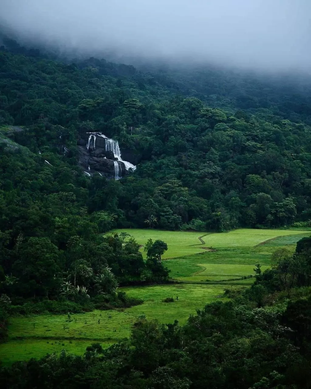 Photo of Mallalli Waterfalls By Anirban Das