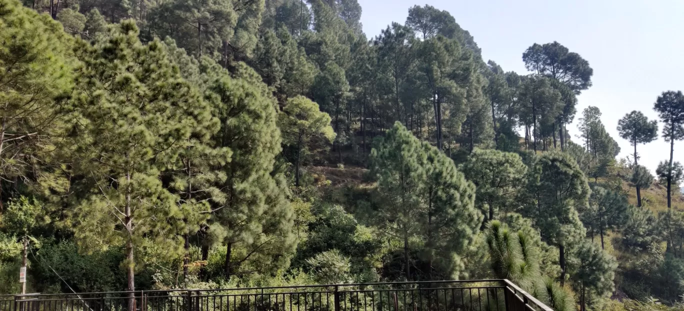 Photo of Solan By Suraj Sharma