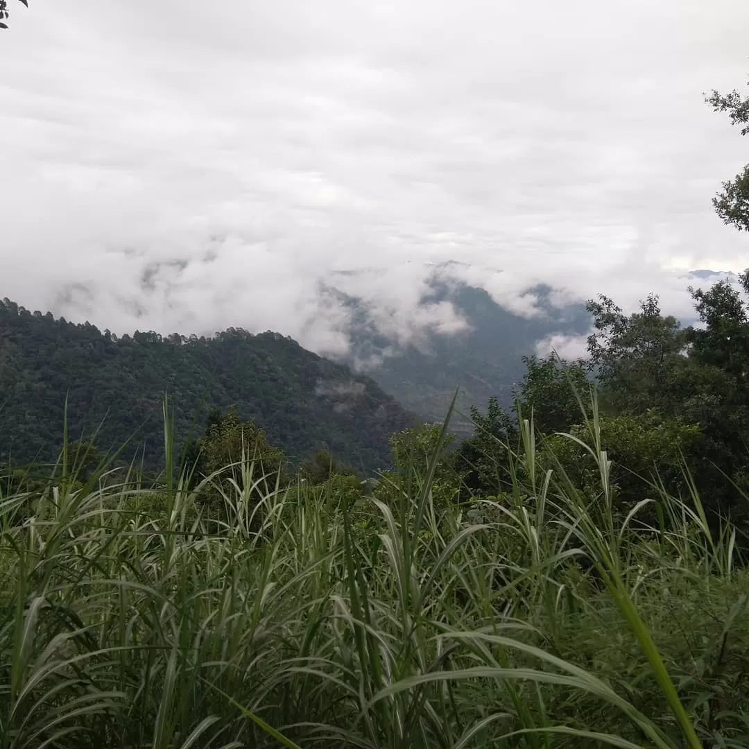 Photo of Nainital By priyanka 