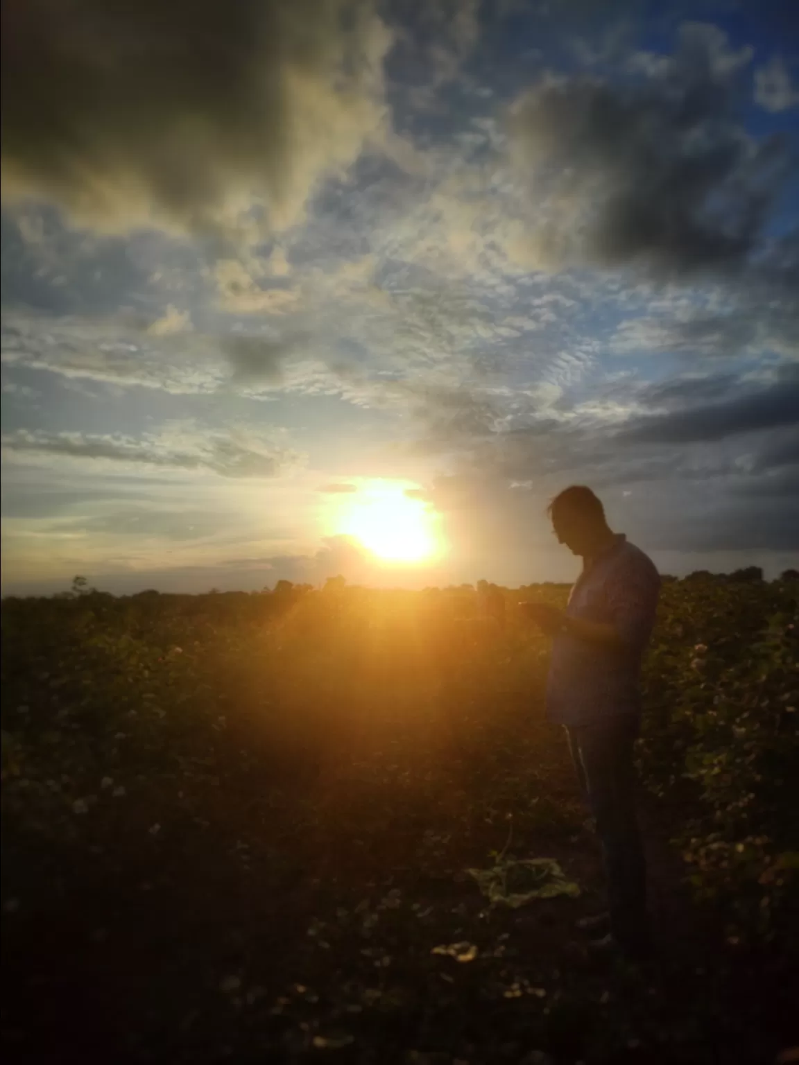 Photo of Amreli By Nishi