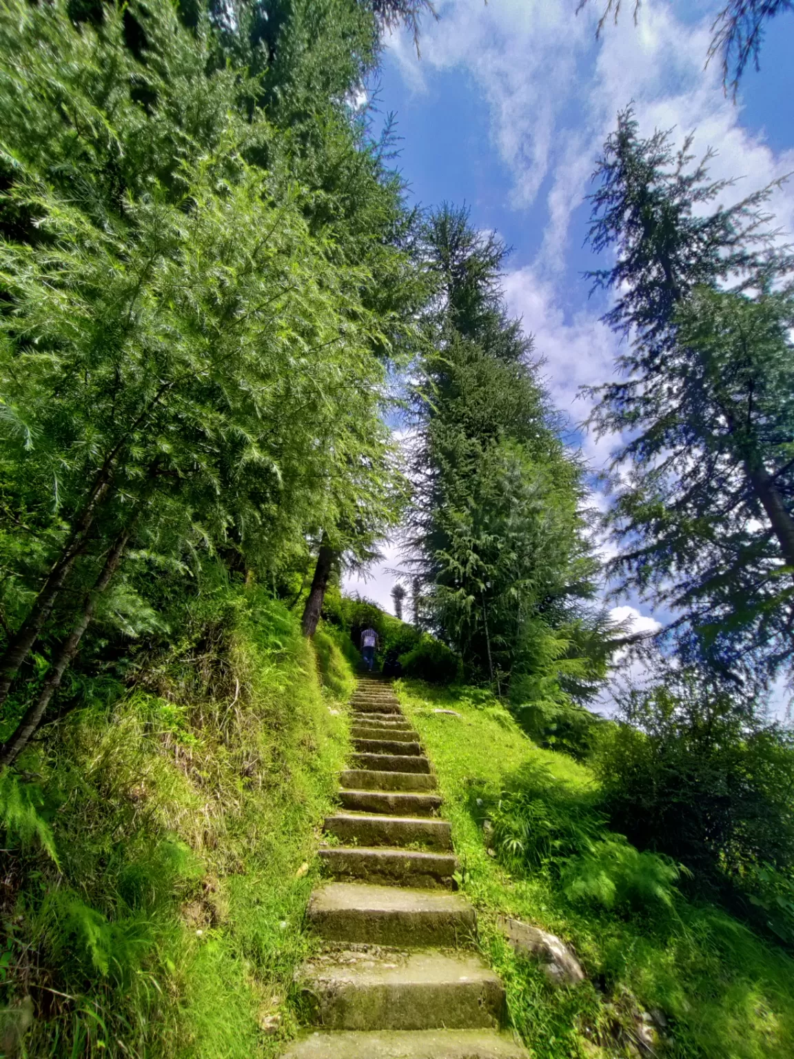 Photo of Barot Valley By Ananya Singh