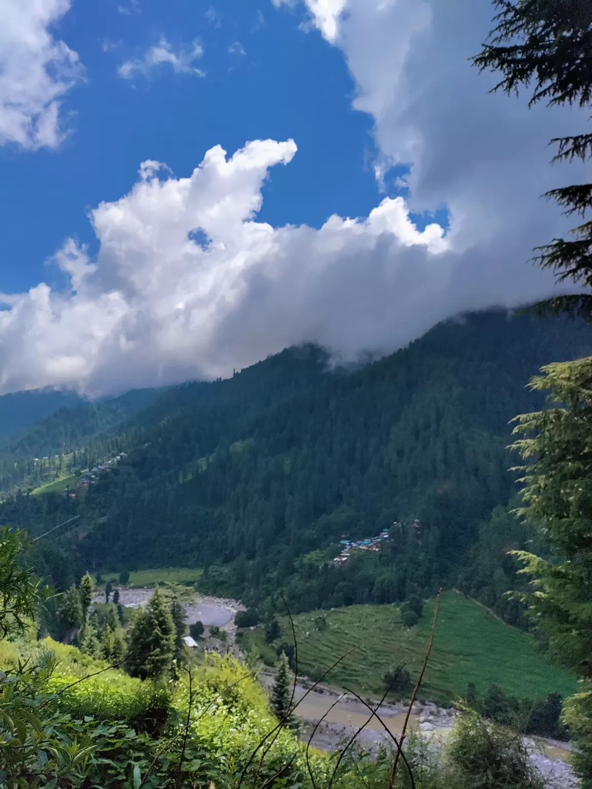 Photo of Barot Valley By Ananya Singh