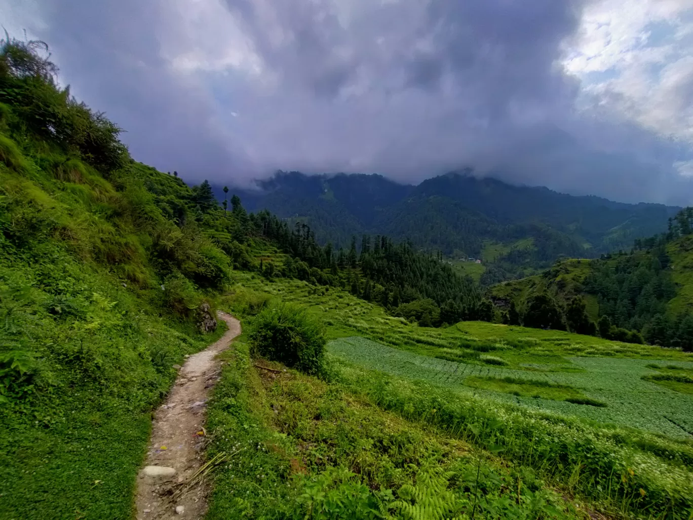 Photo of Barot Valley By Ananya Singh