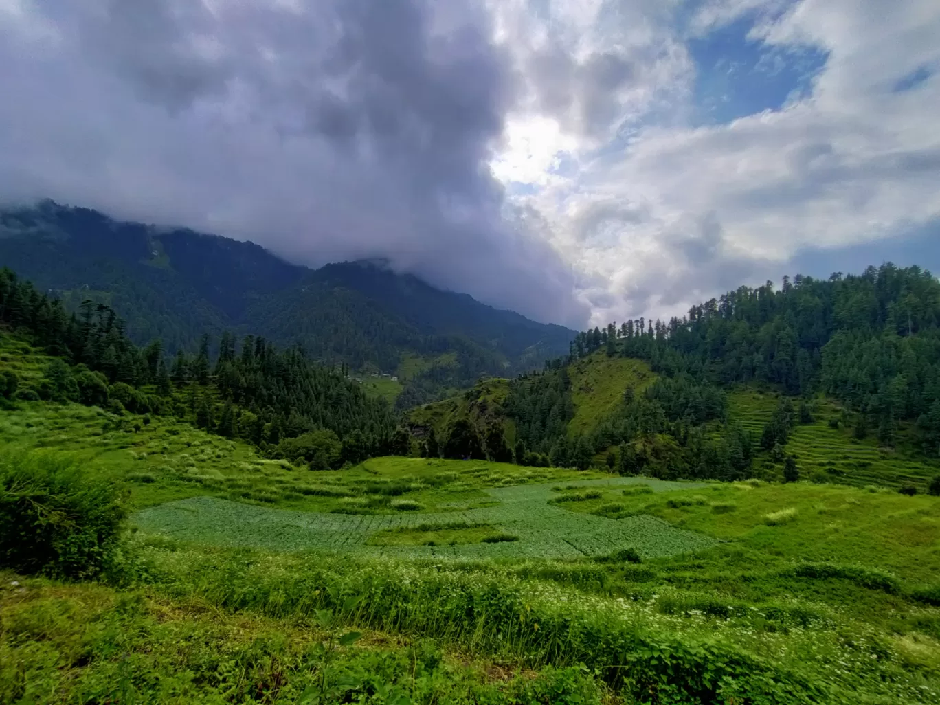 Photo of Barot Valley By Ananya Singh
