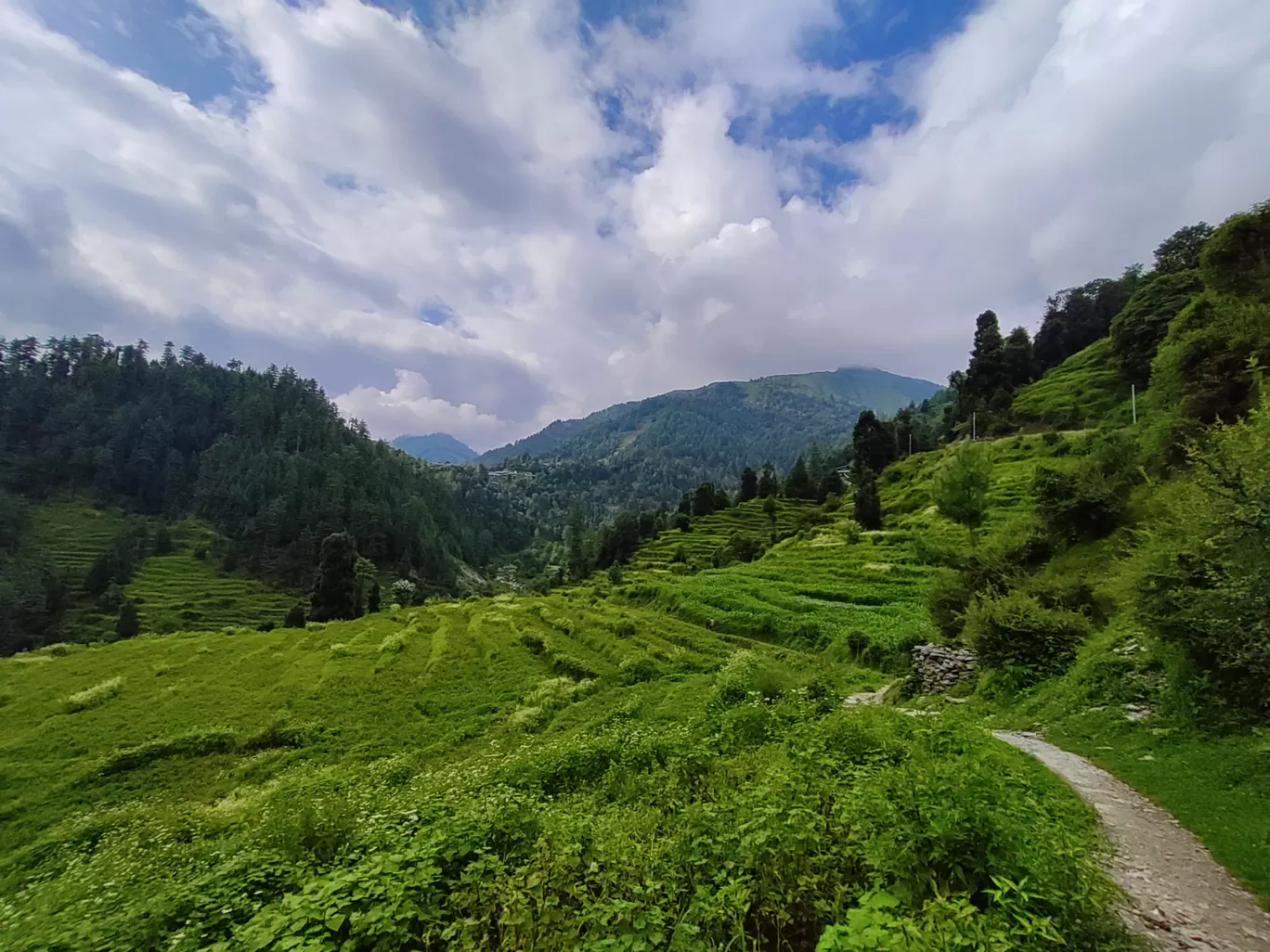 Photo of Barot Valley By Ananya Singh