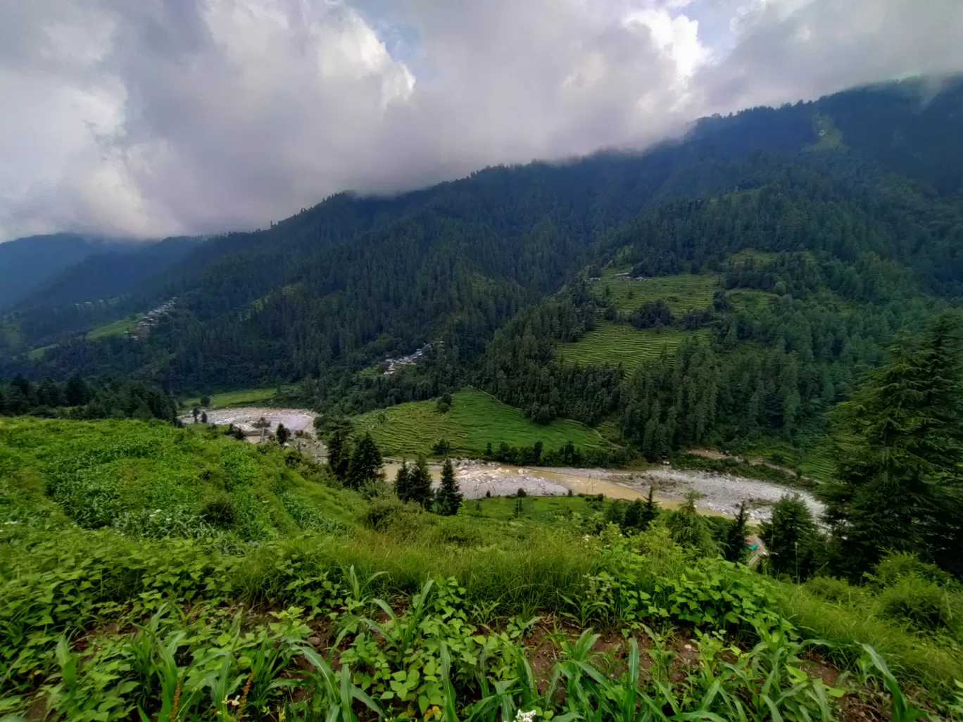 Photo of Barot Valley By Ananya Singh