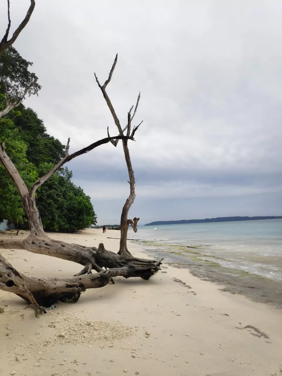 Photo of Kala Pathar Beach By Midhun Mohan