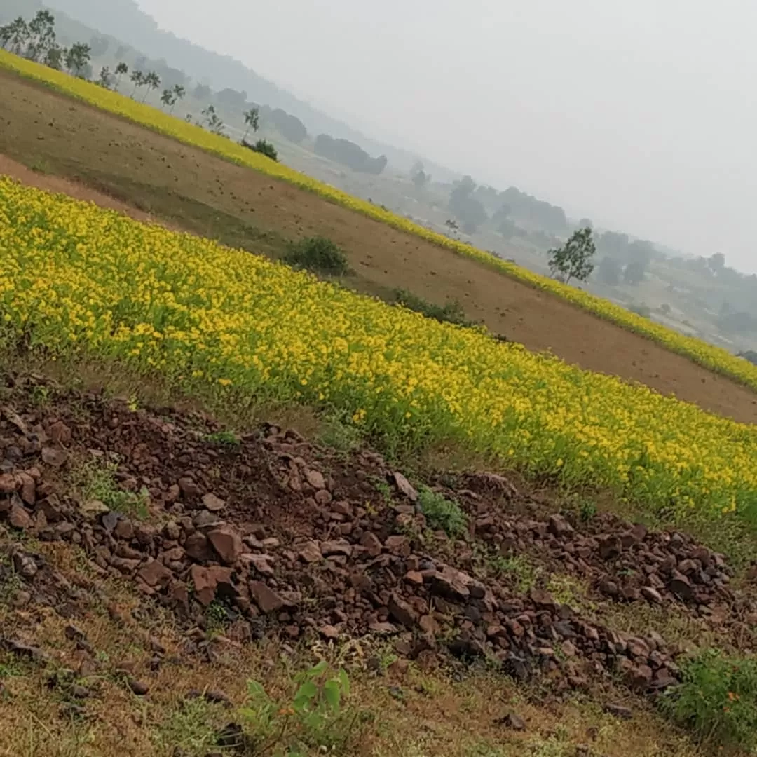 Photo of Jabalpur By Urva Munshi