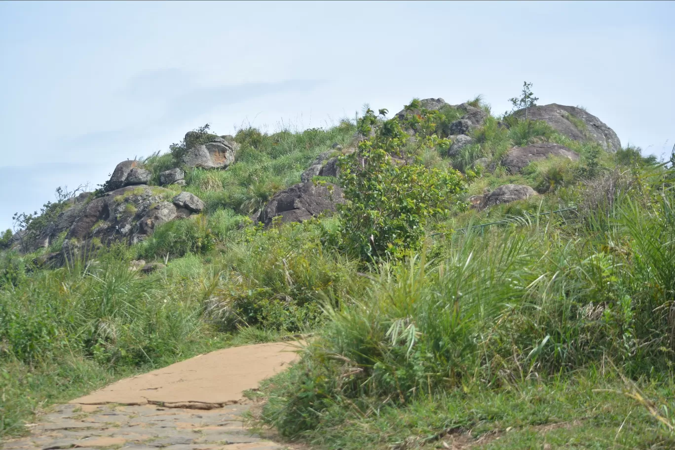 Photo of Needle Rock View Point By Maddipatla Sai Charan