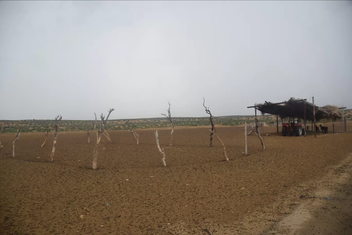 Photo of Longewala By sarita chahar