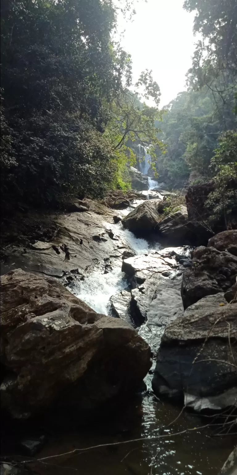 Photo of Irpu Falls By Shruti Ghayal