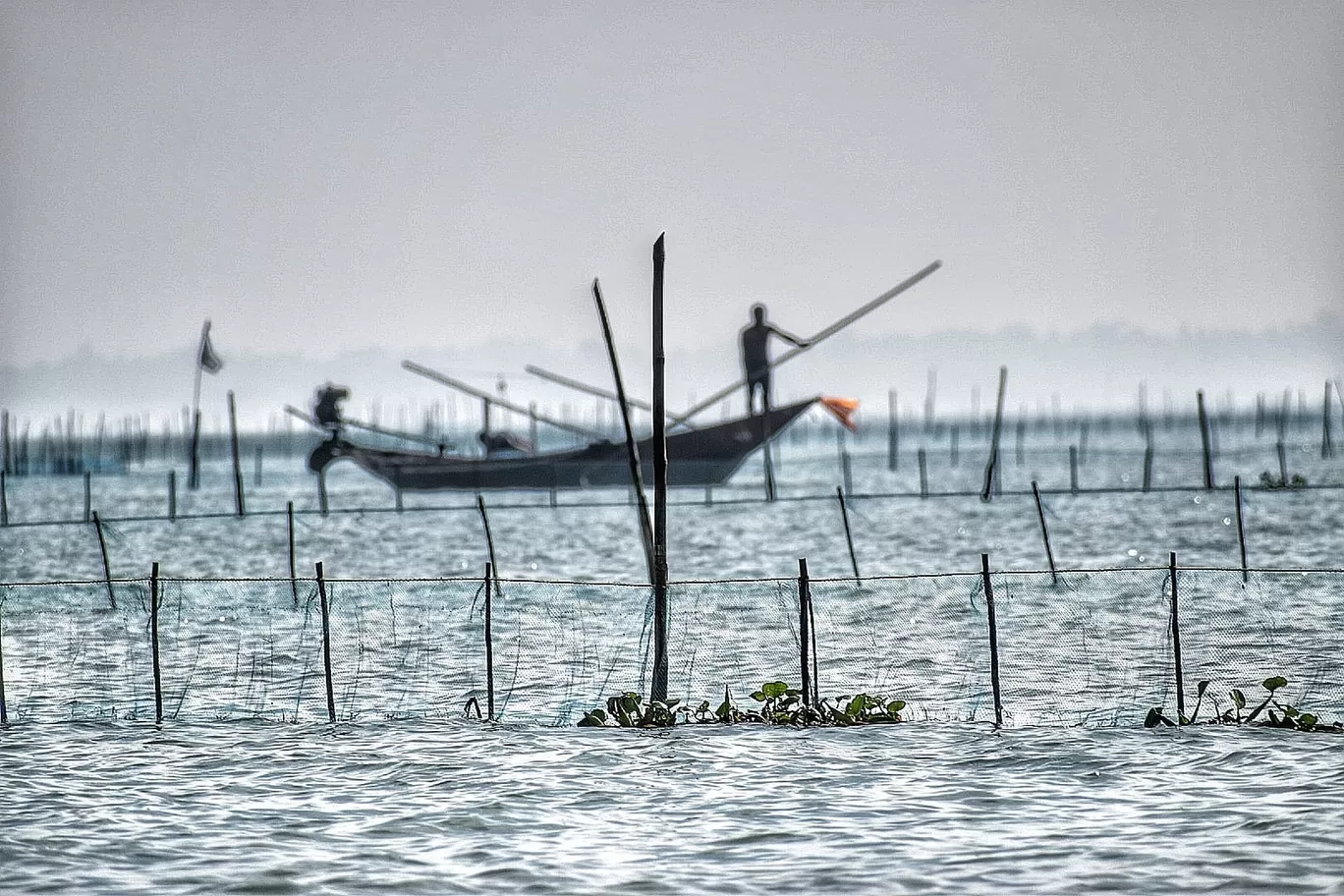 Photo of Chilika lake By Swadhin kumar Naik