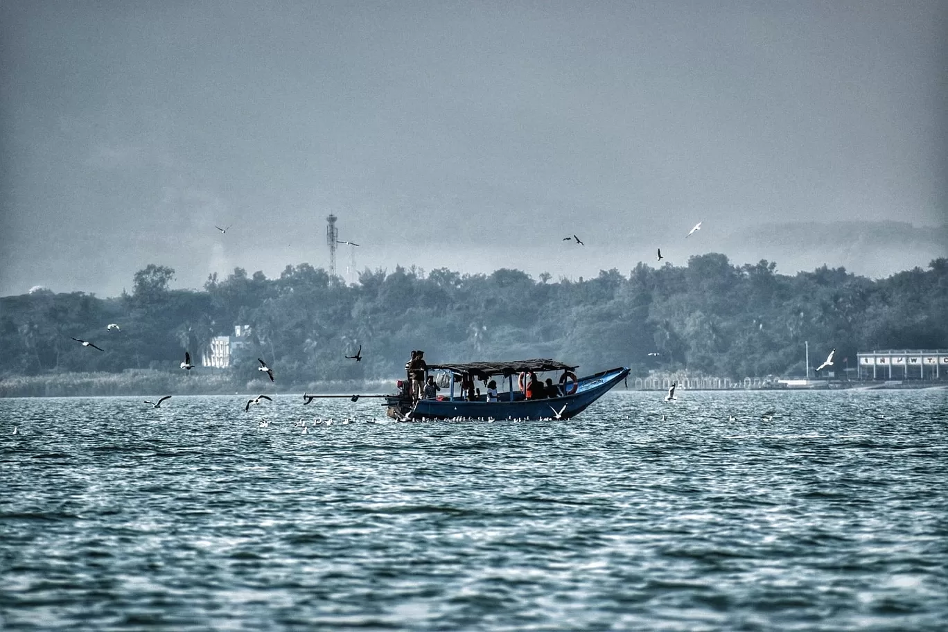 Photo of Chilika lake By Swadhin kumar Naik