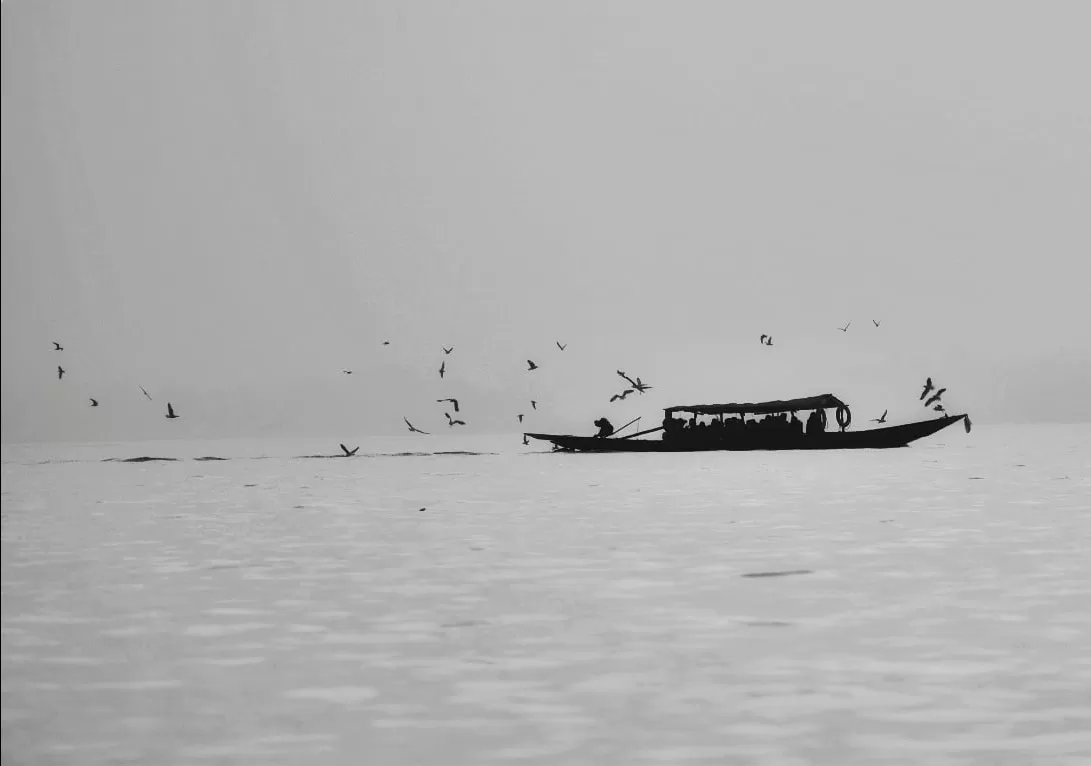 Photo of Chilika lake By Swadhin kumar Naik