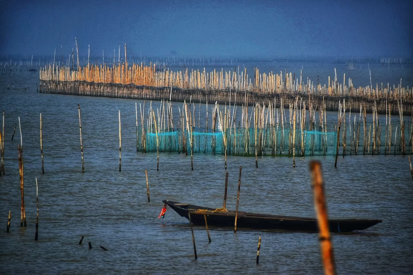 Photo of Chilika lake By Swadhin kumar Naik