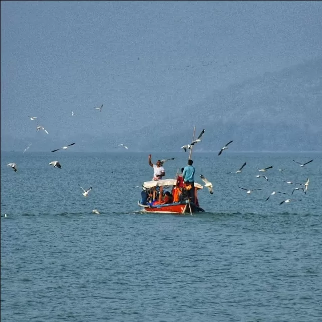 Photo of Chilika lake By Swadhin kumar Naik