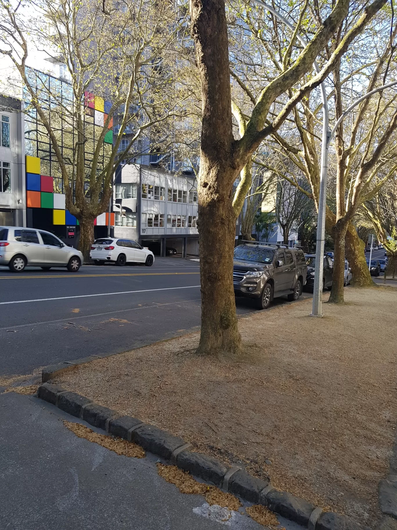 Photo of Auckland By Ankit Jaiswal Rahul