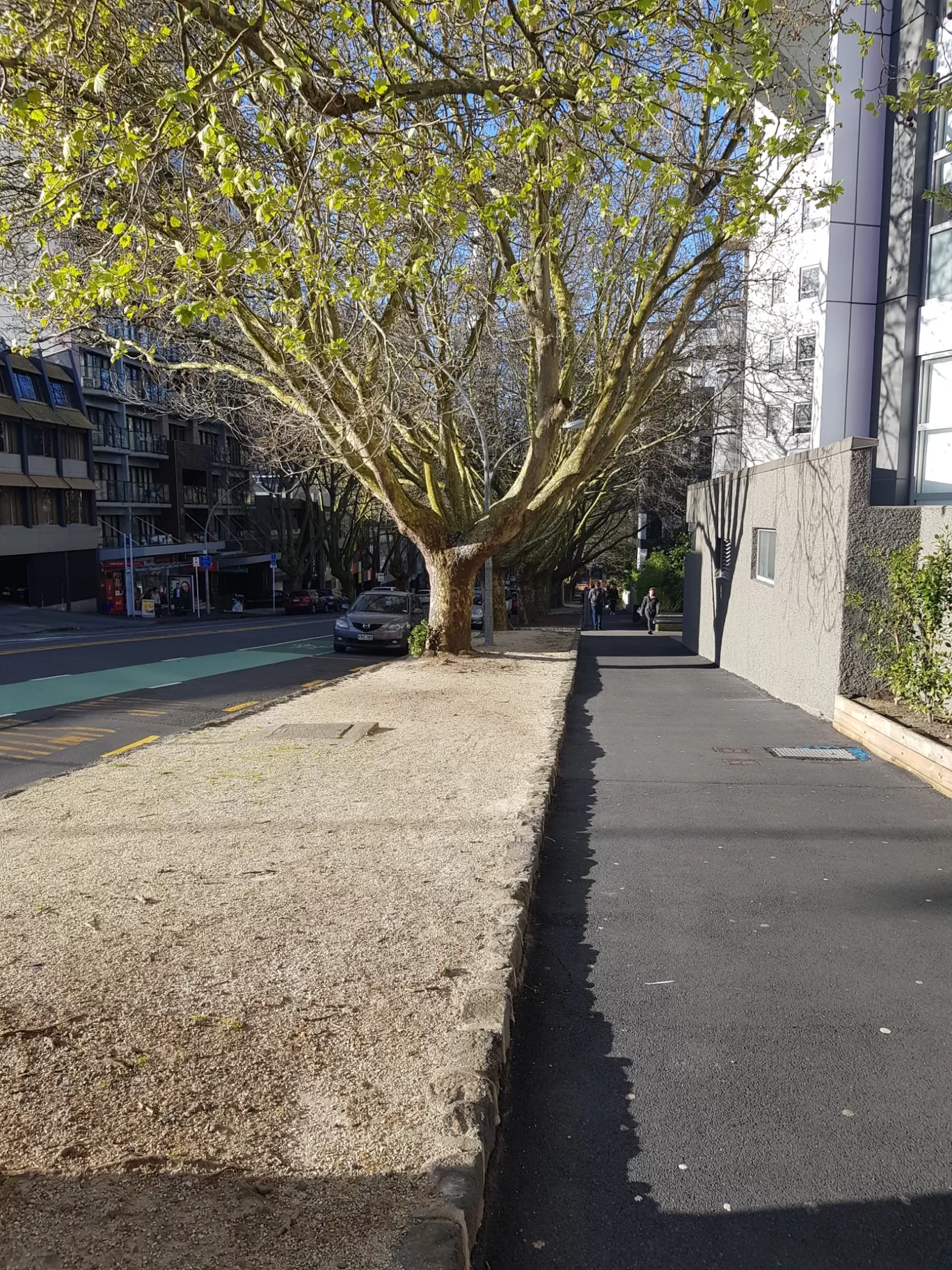 Photo of Auckland By Ankit Jaiswal Rahul