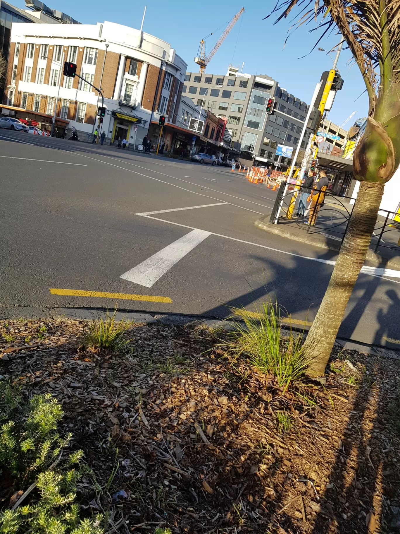 Photo of Auckland By Ankit Jaiswal Rahul