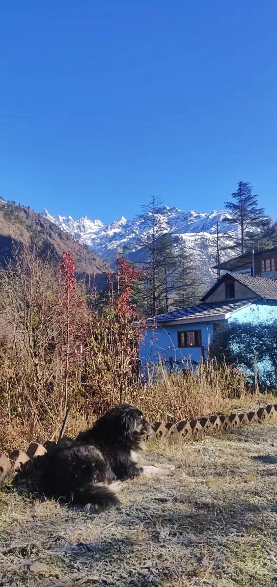 Photo of Kasol By Rajan Radhakrishnan