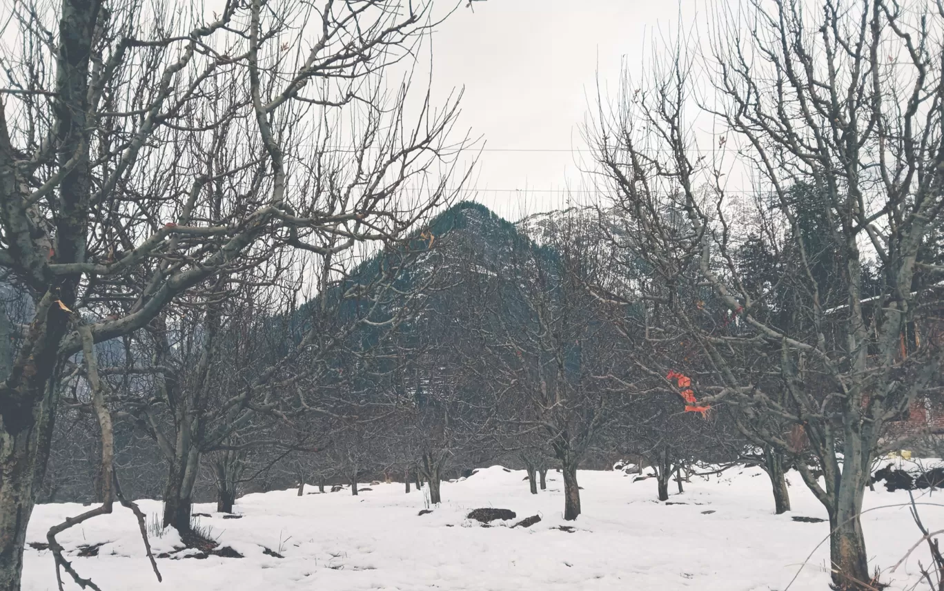 Photo of Kasol By Rajan Radhakrishnan