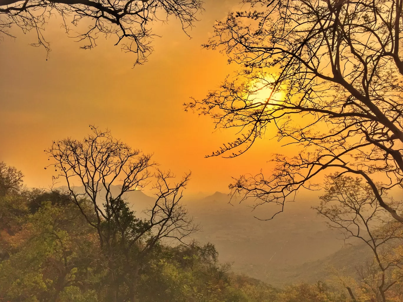 Photo of Parvathamalai Trail By Rajan Radhakrishnan