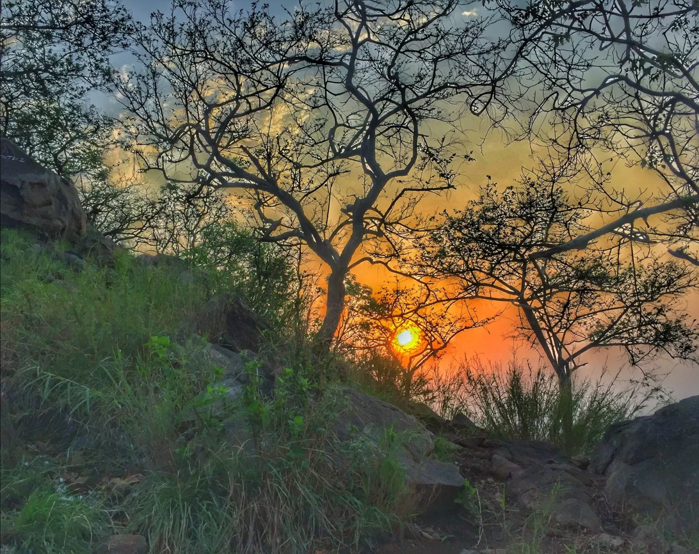 Photo of Parvathamalai Trail By Rajan Radhakrishnan