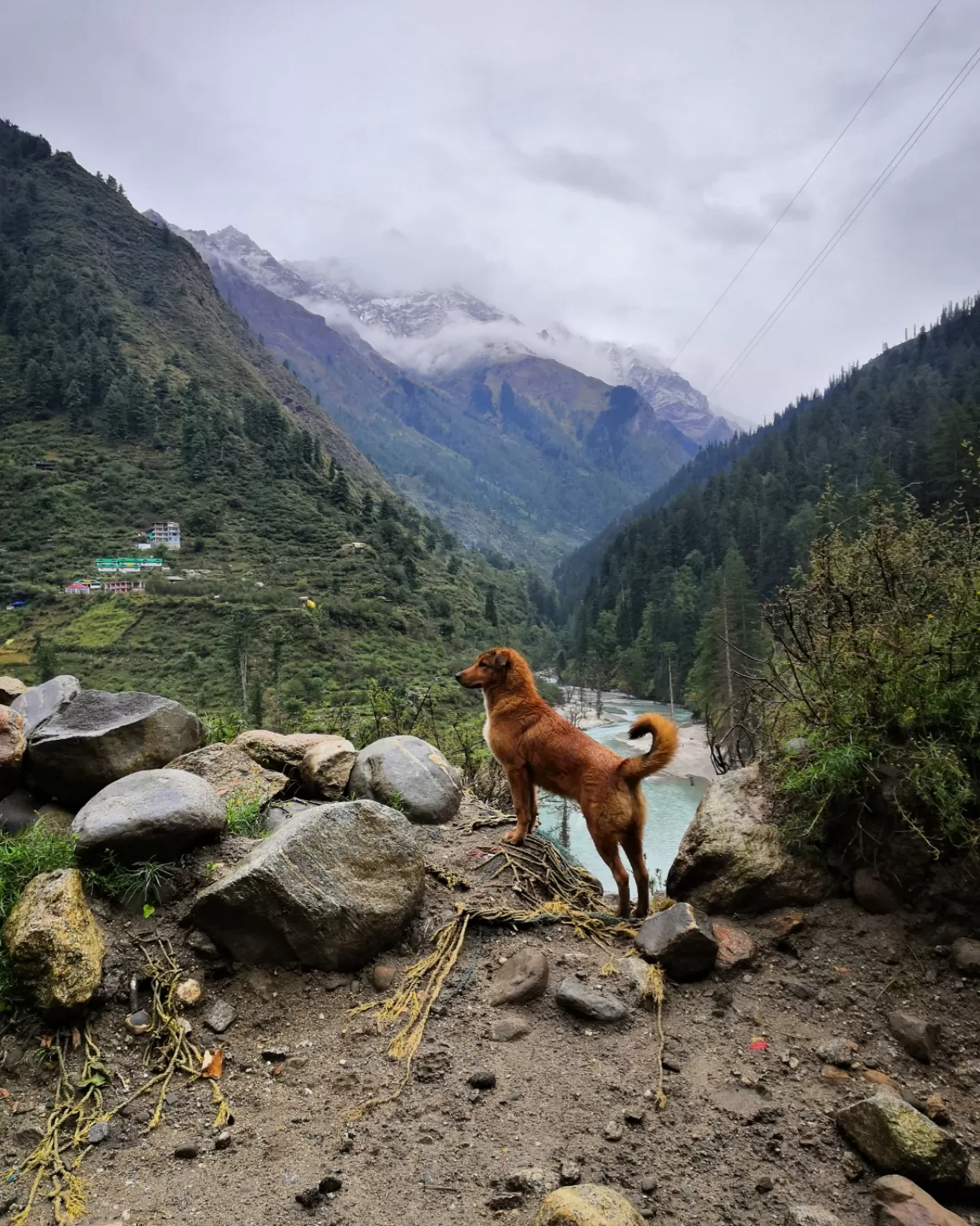 Photo of Parvati Valley By Saurabh 