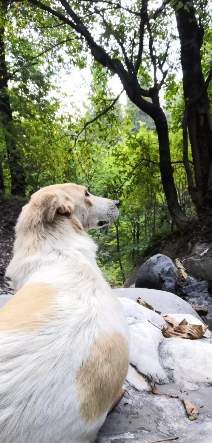 Photo of Parvati Valley By Saurabh 