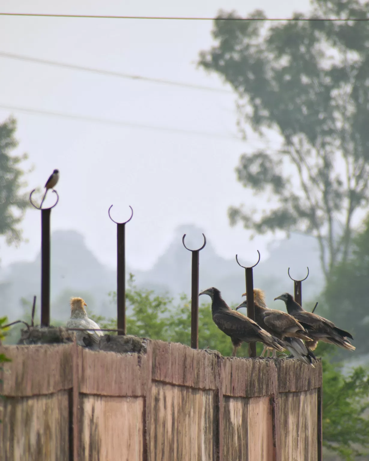 Photo of Ayodhya Nagar Bhopal By Kuldeep Lodhi